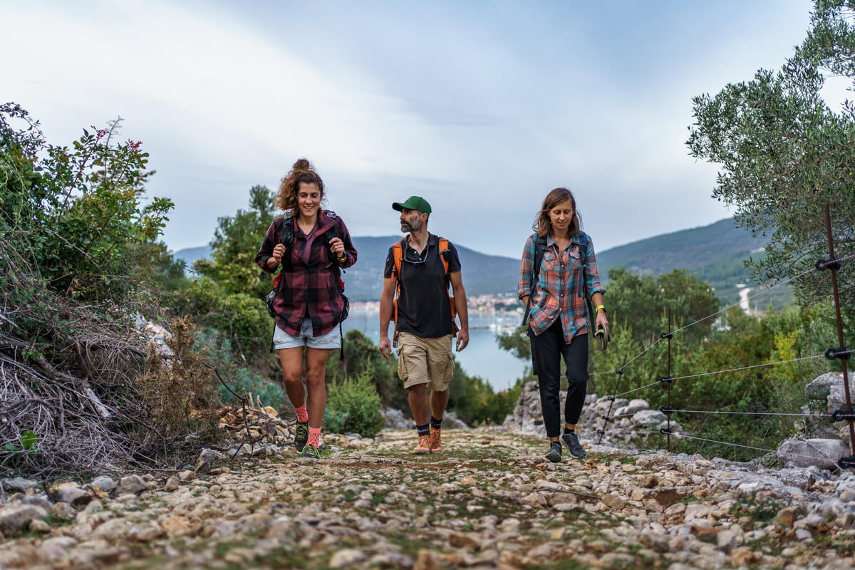 Read more about the article Best app for hiking
